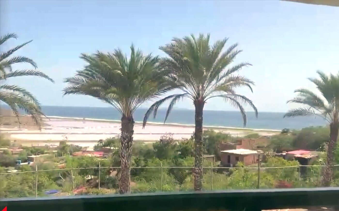 Vista a la playa y las palmeras desde la terraza
