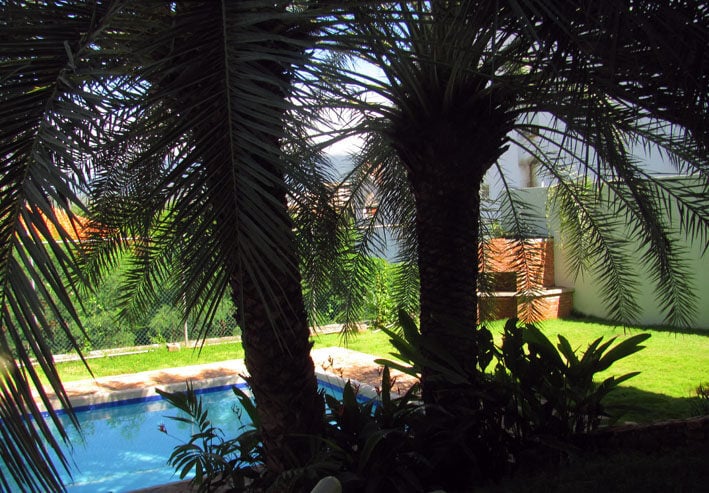 Jardín de palmeras junto a la piscina