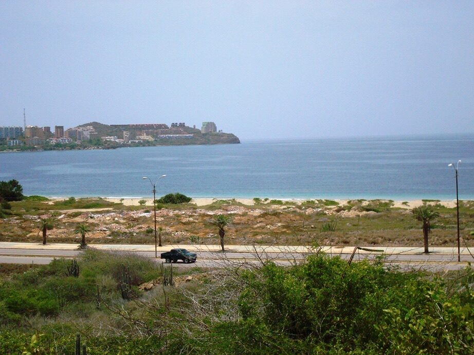 Vista al mar desde las parcelas