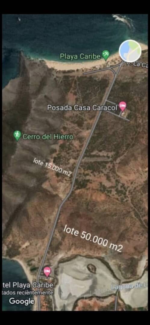 Imagen satelital con el Lote D en rosa y el Lote 9C en verde, en Playa Caribe
