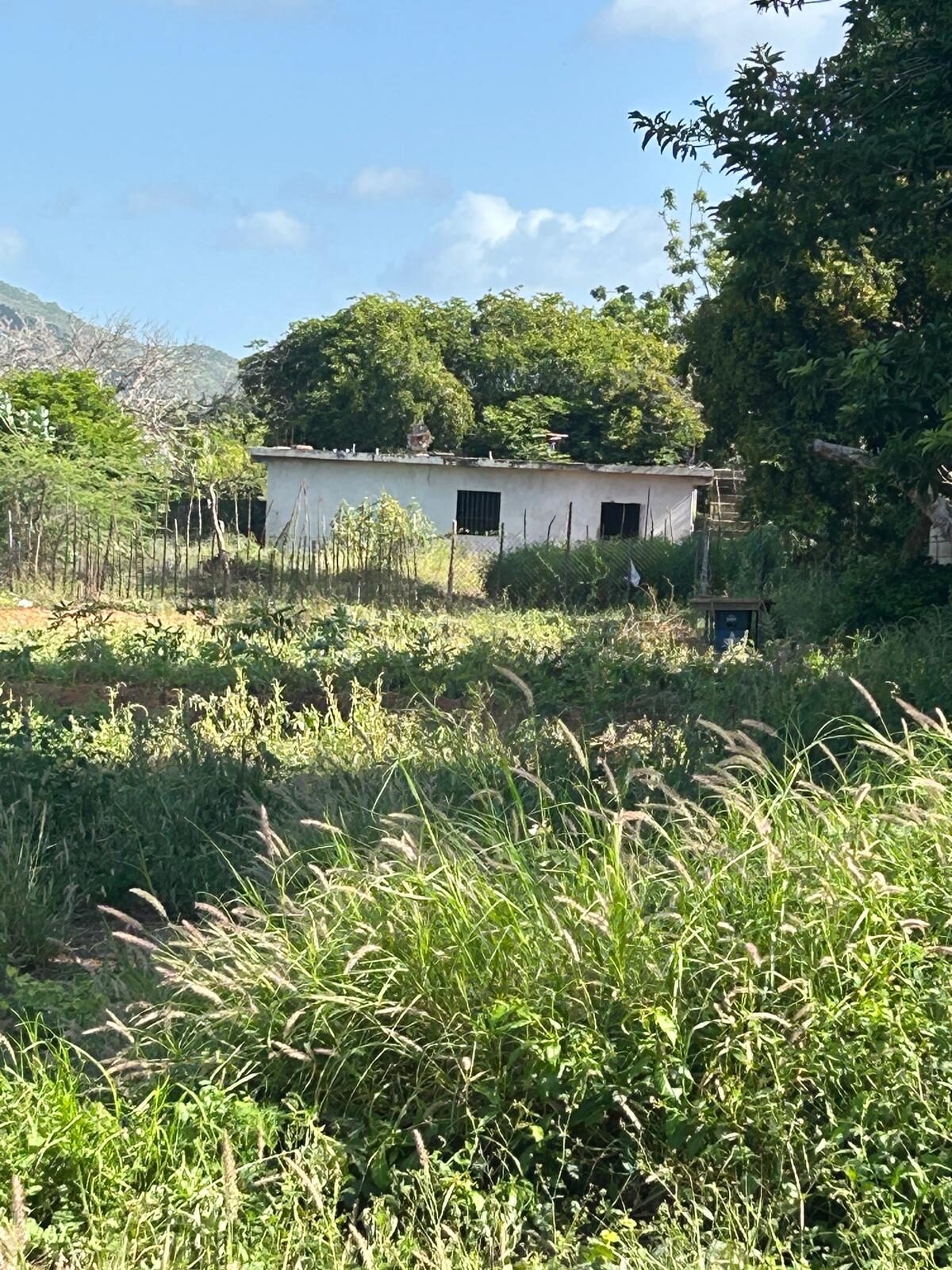 El terreno con el depósito construido al fondo