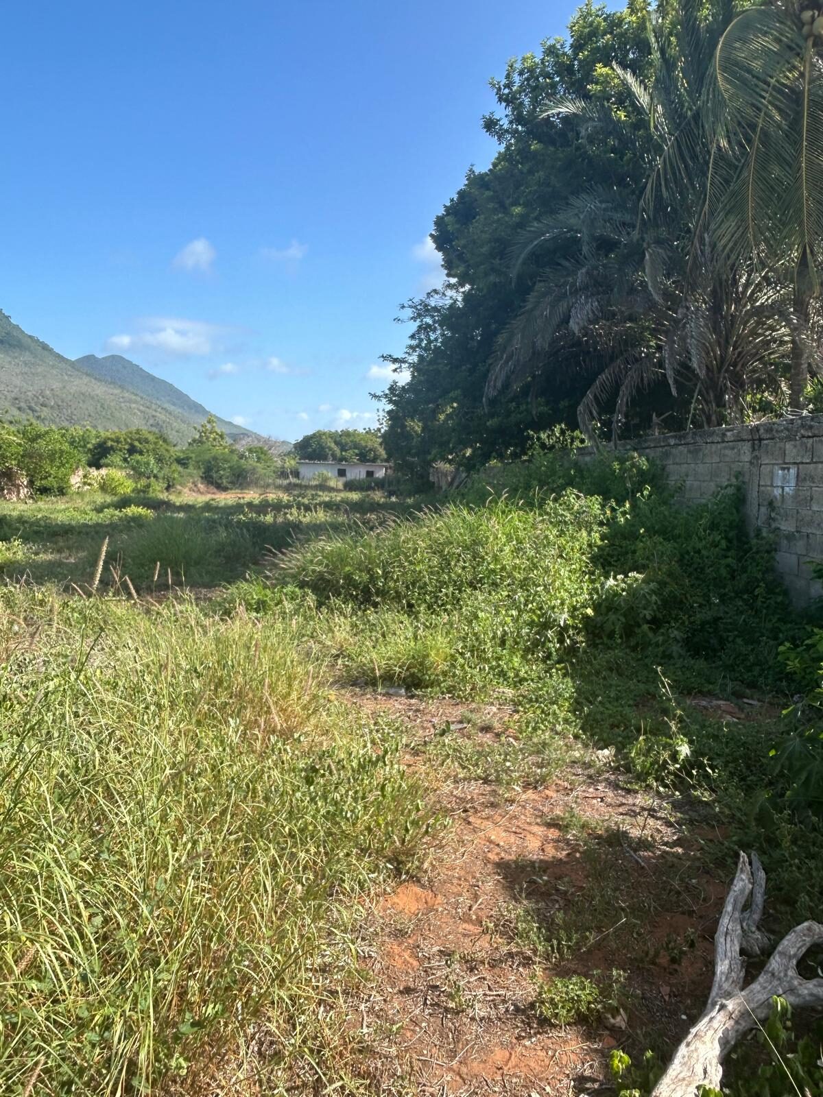 El terreno a lo largo, con la sierra al fondo