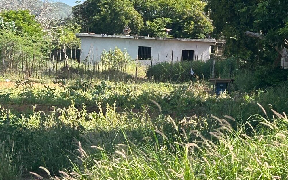 El terreno de El Cardón, con el depósito construido al fondo