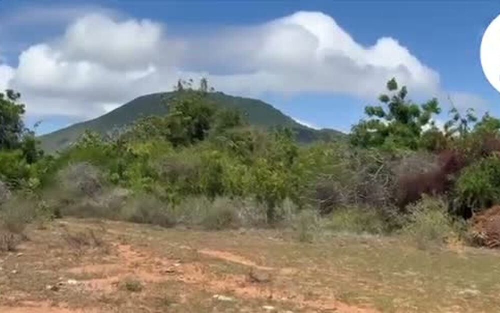 El terreno de Aricagua, con la montaña al fondo