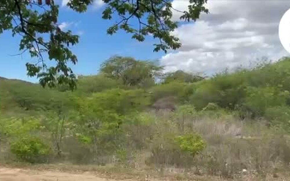 La finca de San Juan Bautista, con su vegetación y los cerros al fondo