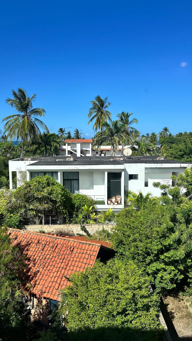 Las casas vecinas y las palmeras, vistas desde arriba