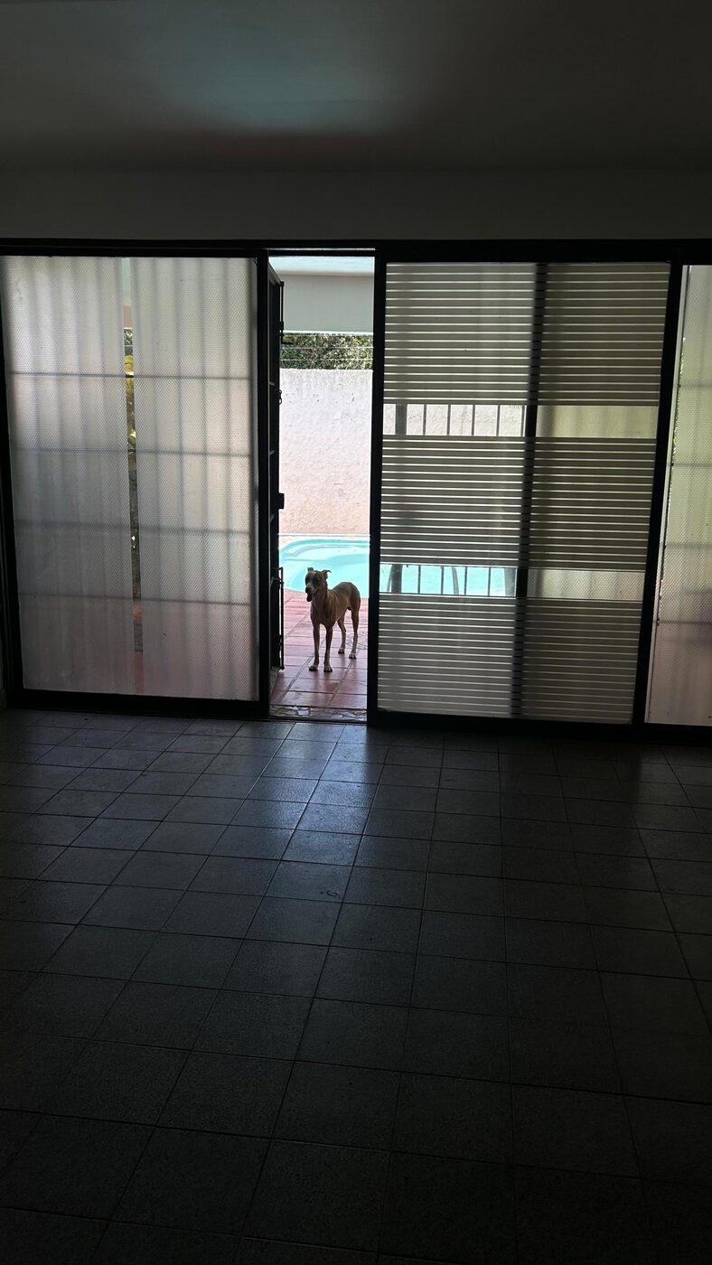 Las puertas corredizas de la planta baja, hacia la parte de atrás