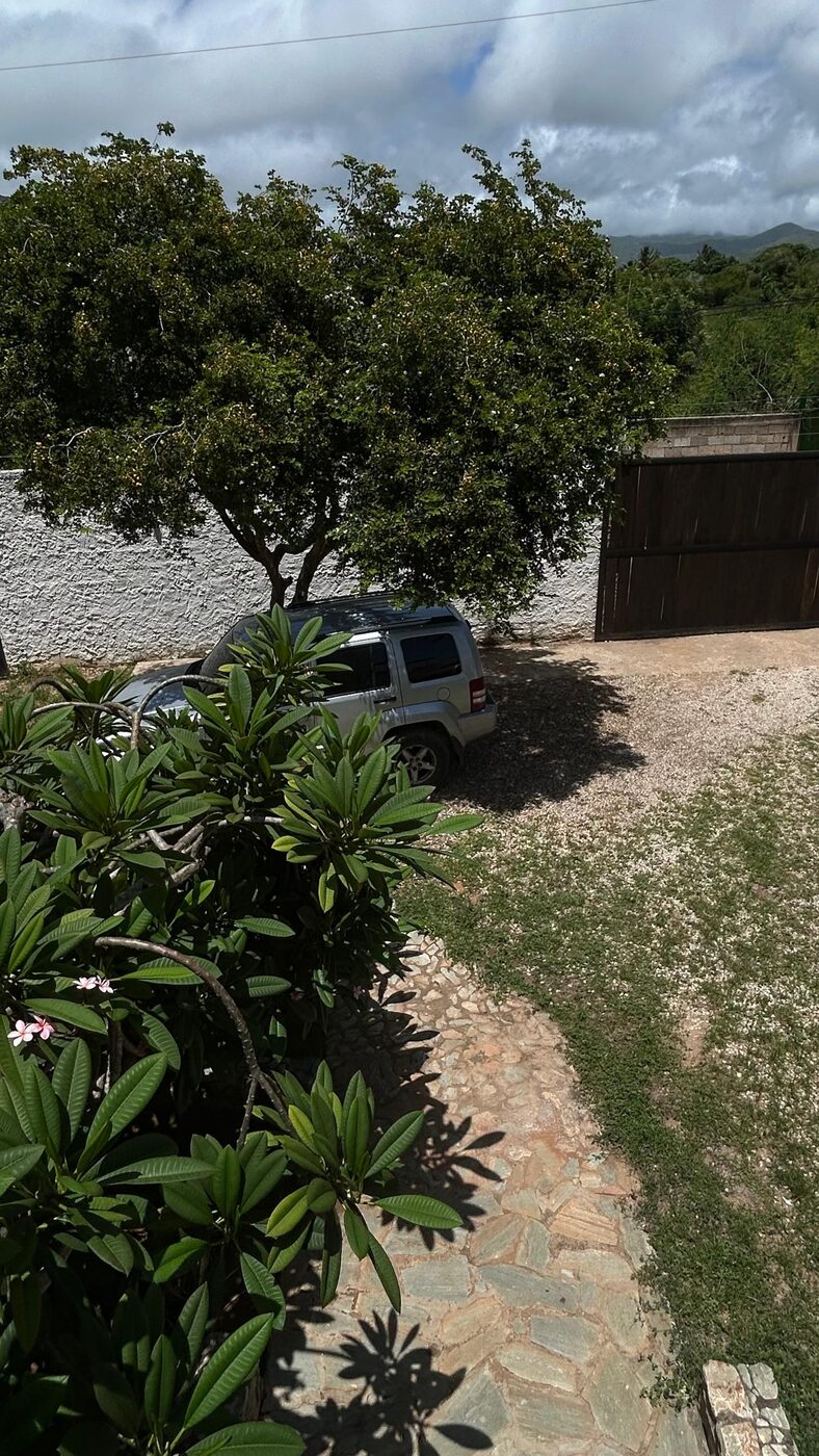 El jardín y el estacionamiento vistos desde la planta alta
