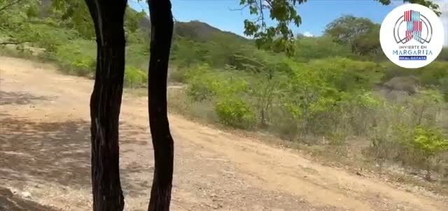 El camino interno de la finca, con el cerro al fondo