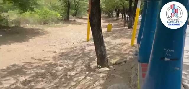 Tubería azul junto al camino de entrada