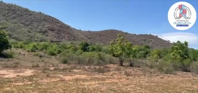 El terreno de Aricagua, con el cerro detrás