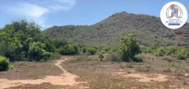 Una vereda cruza el terreno hacia la montaña
