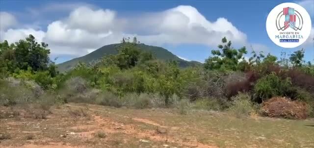 El terreno, con la montaña al fondo